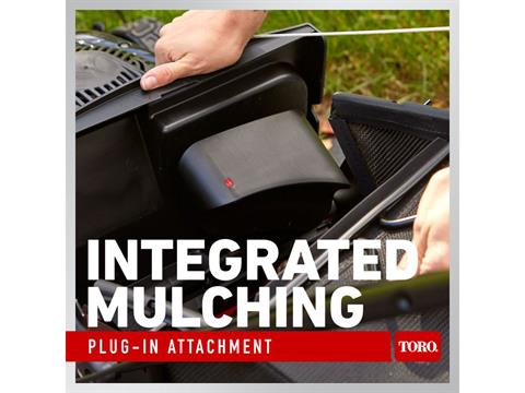 Toro Recycler 21 in. Briggs & Stratton Ex Self-Propelled 140 cc in Stratford, Wisconsin - Photo 9