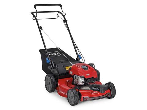 Toro Recycler 22 in. Briggs & Stratton 150 cc Self-Propel w/ SmartStow in Martinsville, Indiana