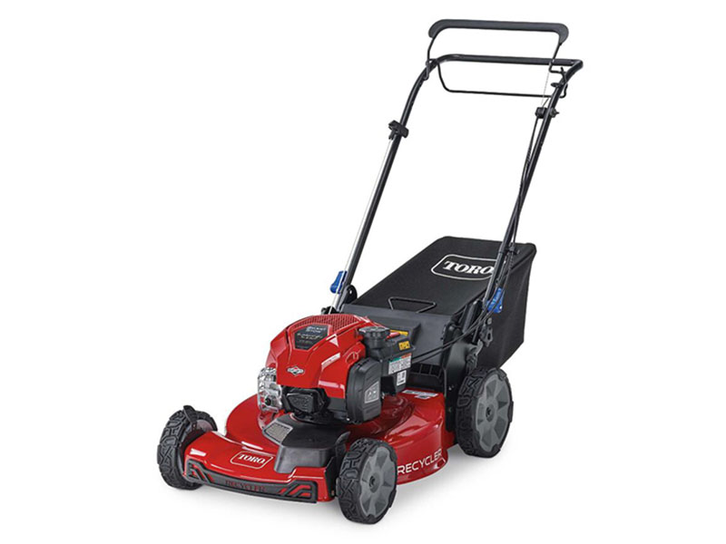 Toro Recycler 22 in. Briggs & Stratton 150 cc Self-Propel w/ SmartStow in Mio, Michigan - Photo 2