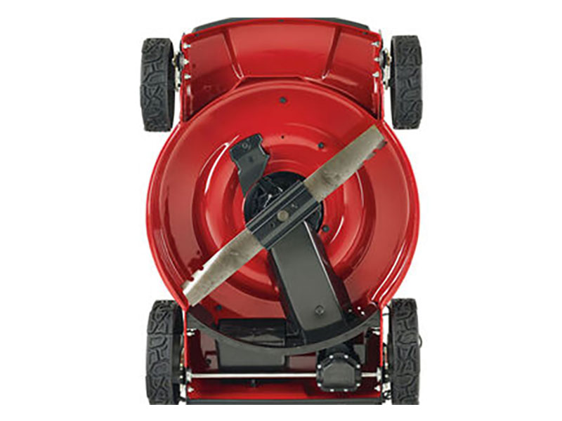 Toro Recycler 22 in. Briggs & Stratton 150 cc Self-Propel w/ SmartStow in Mio, Michigan - Photo 4