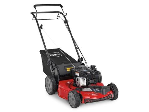 Toro Recycler 22 in. Briggs & Stratton 150 cc Self-Propel