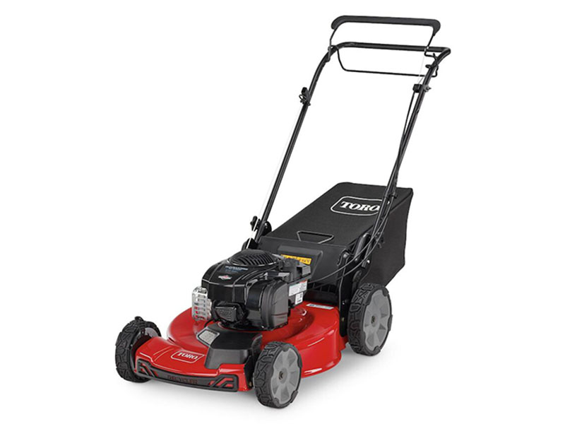 Toro Recycler 22 in. Briggs & Stratton 150 cc Self-Propel in Gaylord, Michigan - Photo 2