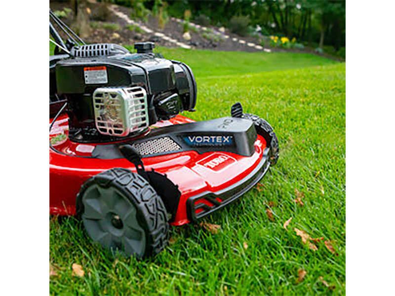 Toro Recycler 22 in. Briggs & Stratton 150 cc Self-Propel in Gaylord, Michigan - Photo 7