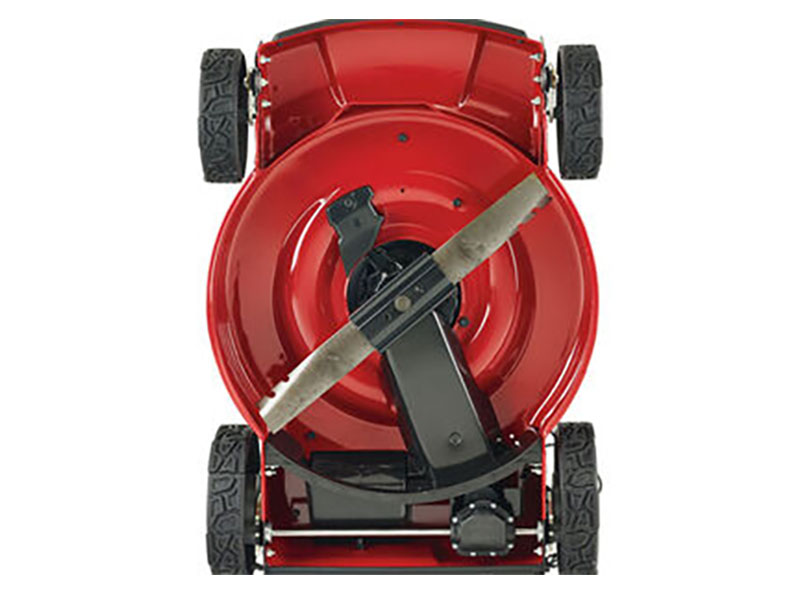 Toro Recycler 22 in. Briggs & Stratton 150 cc Self-Propel in Gaylord, Michigan - Photo 9