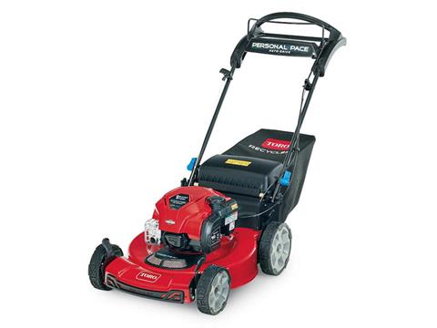Toro 22 inch recycler discount