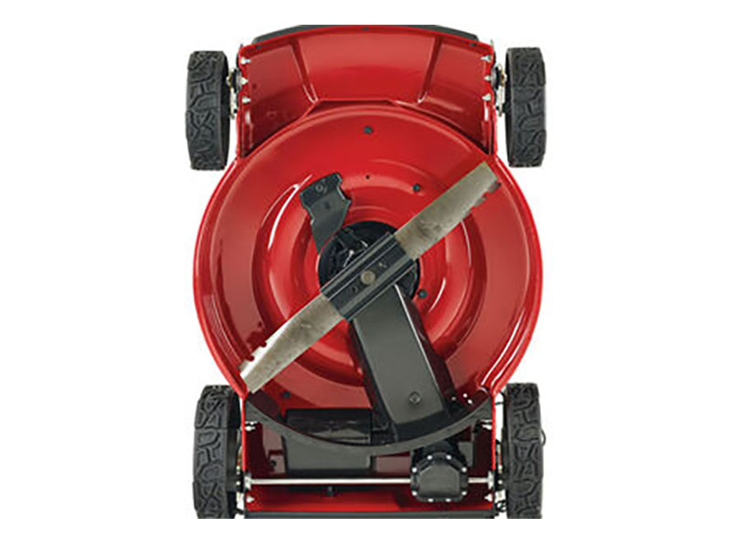 Toro Recycler 22 in. Briggs & Stratton Exi 163 cc Self-Propel w/ Personal Pace in Mio, Michigan - Photo 4