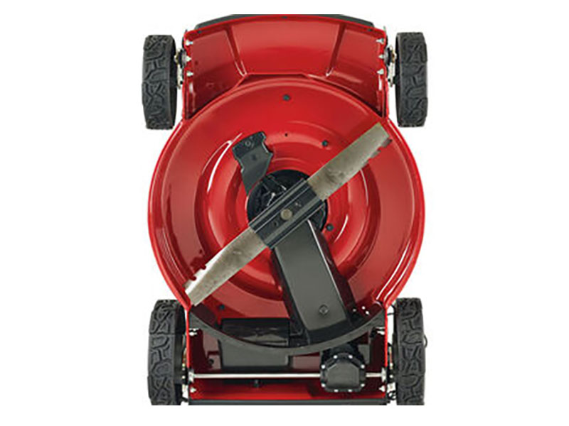 Toro Recycler 22 in. Briggs & Stratton Exi 163 cc Self-Propel AWD w/ Personal Pace in Mio, Michigan - Photo 4
