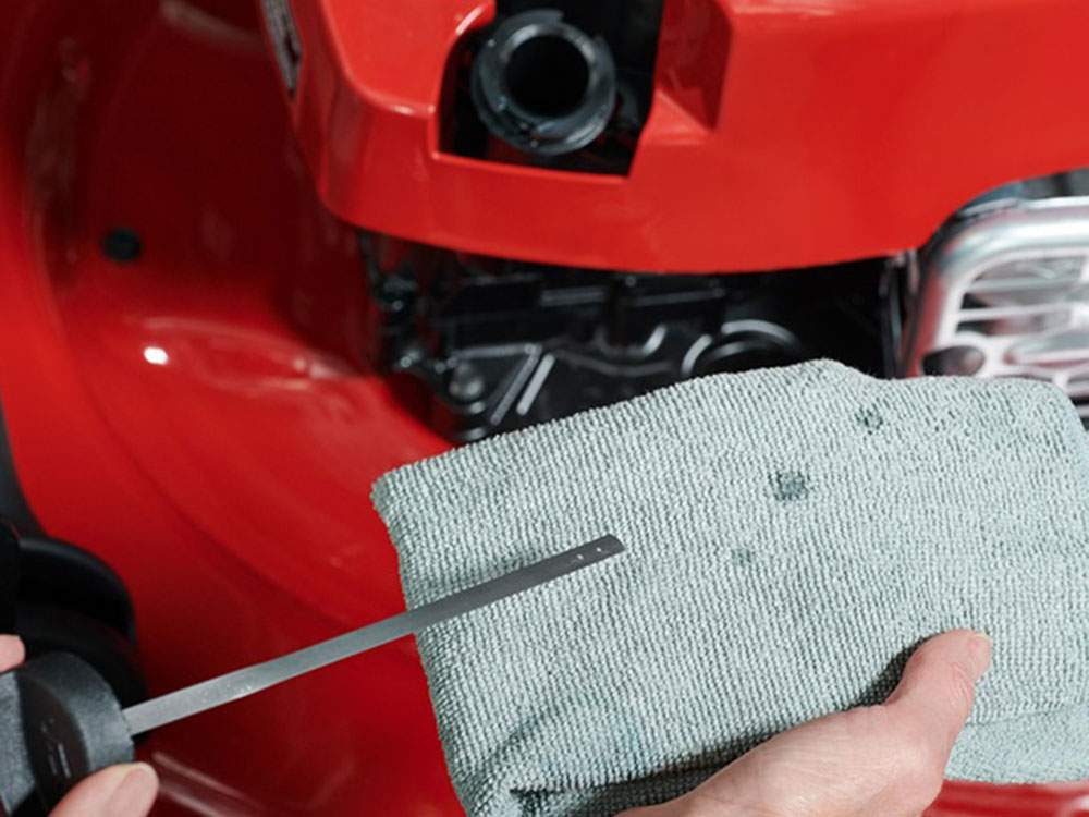 Toro Recycler 22 in. Briggs & Stratton Exi Self-Propelled AWD w/ Personal Pace 163 cc in Gaylord, Michigan - Photo 16