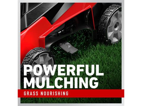 Toro Stripe 21 in. 60V Max Push - Tool Only in Gaylord, Michigan - Photo 12