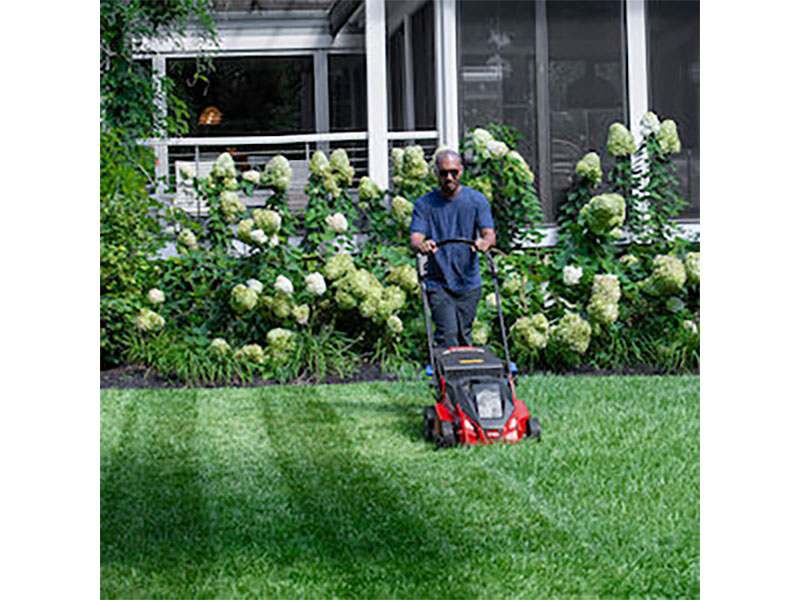 Toro Stripe 21 in. 60V Max Self-Propel Dual-Blades - Tool Only in Mio, Michigan - Photo 14