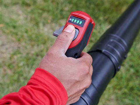 Toro 60V MAX Revolution 730 CFM Brushless Leaf Blower Cannon & Backpack - Battery Not Included in Gaylord, Michigan - Photo 2