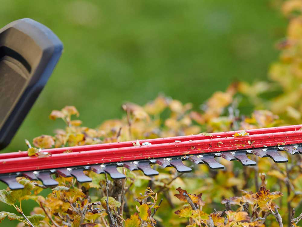 Toro 60V MAX 24 in. Brushless Hedge Trimmer - Battery Not Included in Gaylord, Michigan - Photo 9
