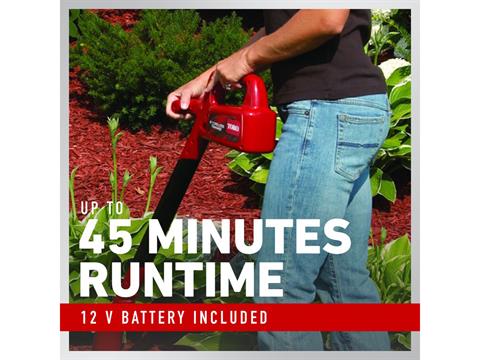 Toro 8 in. Cordless Trimmer in Gaylord, Michigan - Photo 3