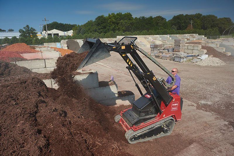 2019 Toro Dingo TXL 2000 Telescoping in Gaylord, Michigan - Photo 2