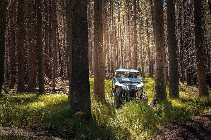 パンツ WhiteCat 2024 Arctic Cat® Wildcat XX SE | Coyne Powersports