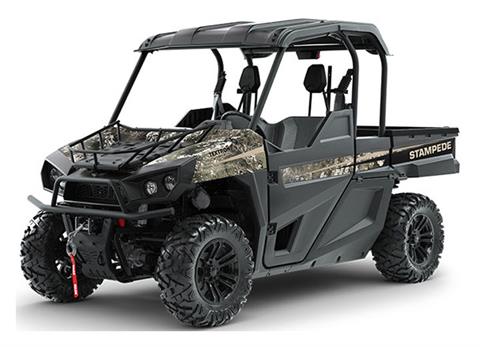 2019 Textron Off Road Stampede X for Sale