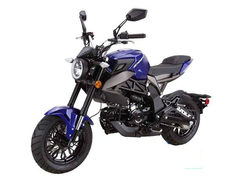 New 2024 Wolf Brand Scooters Wolf Striker | Motorcycles in