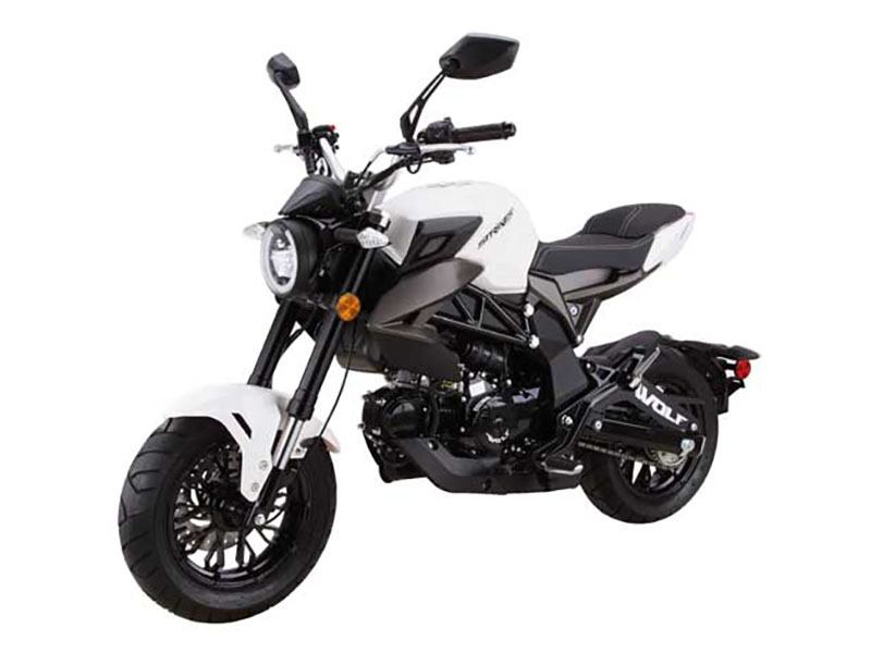 2024 Wolf Brand Scooters Wolf Striker | Motorcycles, Lockport IL