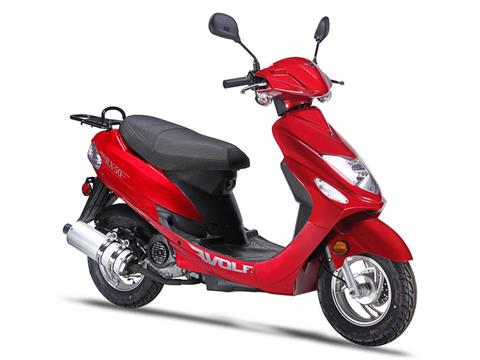 2024 Wolf Brand Scooters Wolf RX-50 in Pine Bluff, Arkansas - Photo 2