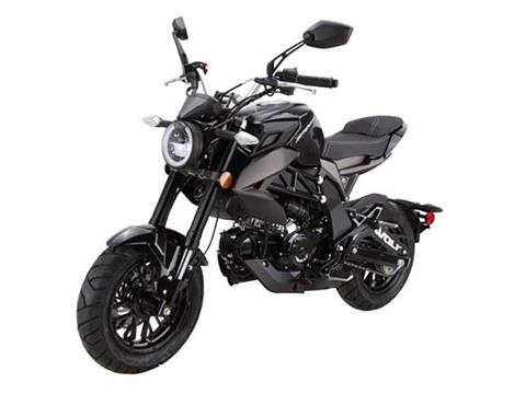 2025 Wolf Brand Scooters Wolf Striker Mini Moto