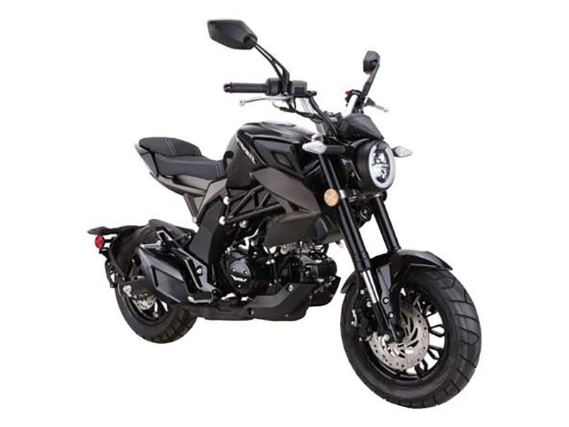 New 2025 Wolf Brand Scooters Wolf Striker Mini Moto, Salisbury MD