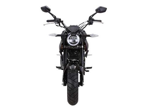 2025 Wolf Brand Scooters Wolf Striker Mini Moto in Pine Bluff, Arkansas - Photo 5