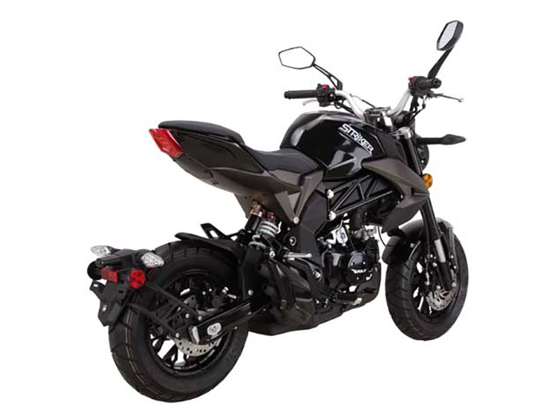 New 2025 Wolf Brand Scooters Wolf Striker Mini Moto, Salisbury MD