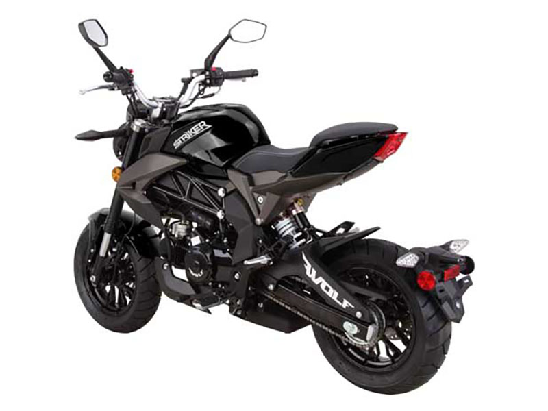 2025 Wolf Brand Scooters Wolf Striker Mini Moto in Pine Bluff, Arkansas - Photo 7