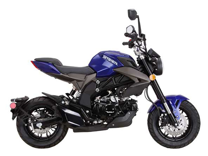 New 2025 Wolf Brand Scooters Wolf Striker Mini Moto Scooters in