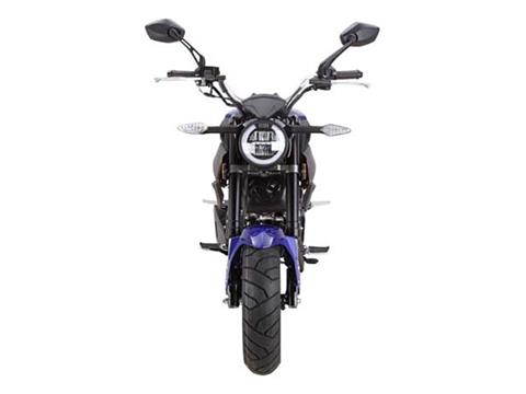 2025 Wolf Brand Scooters Wolf Striker Mini Moto in Pine Bluff, Arkansas - Photo 5