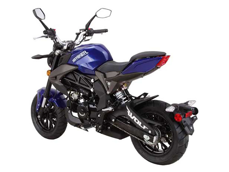 New 2025 Wolf Brand Scooters Wolf Striker Blue | Motorcycles