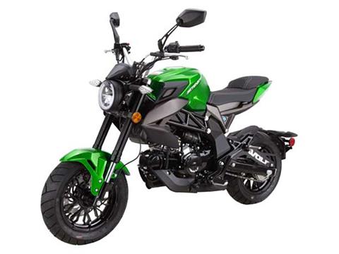 2025 Wolf Brand Scooters Wolf Striker Mini Moto