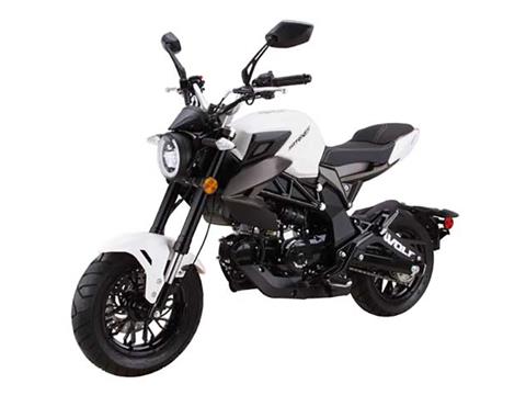 2025 Wolf Brand Scooters Wolf Striker Mini Moto