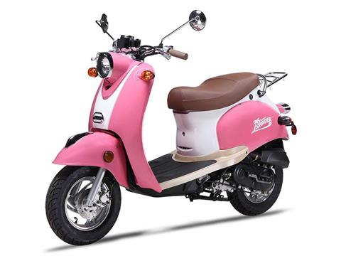 2025 Wolf Brand Scooters Wolf Islander
