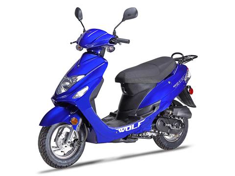 2025 Wolf Brand Scooters Wolf RX-50