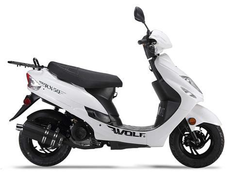 2025 Wolf Brand Scooters Wolf RX-50 in Pine Bluff, Arkansas - Photo 3