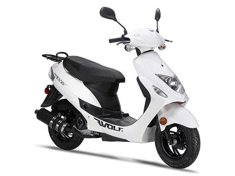 2025 Wolf Brand Scooters Wolf RX-50 in Pine Bluff, Arkansas - Photo 2