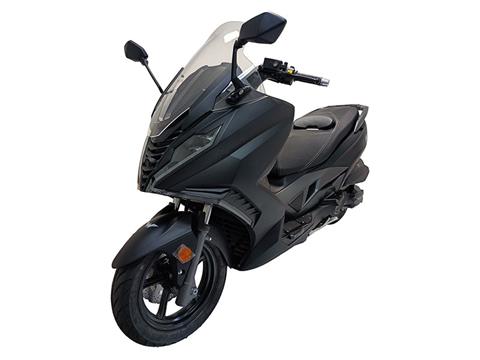 2025 Wolf Brand Scooters Wolf V300i