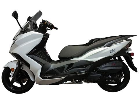 New 2025 Wolf Brand Scooters Wolf V300i Scooters in Hobart, IN