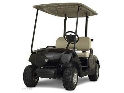 2010 Yamaha The Drive® Gas