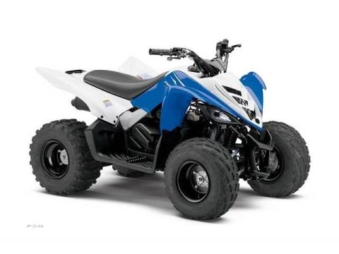 2013 Yamaha Raptor 90 in Port Washington, Wisconsin - Photo 1