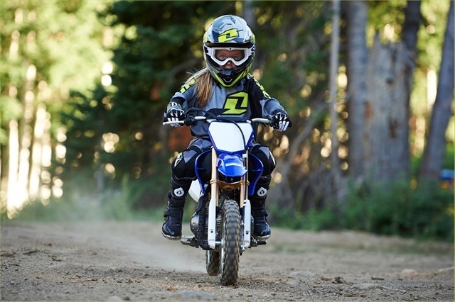 2015 Yamaha TT-R50E 6