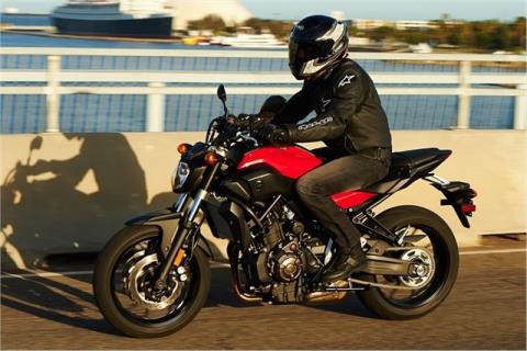 2015 Yamaha FZ-07 in Marietta, Ohio - Photo 11