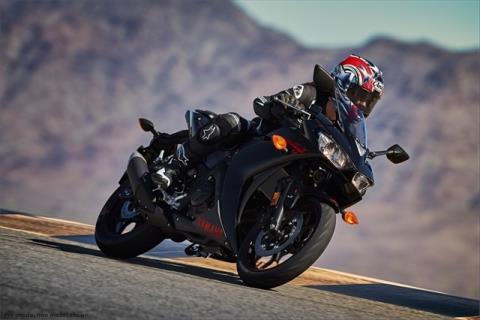 2015 Yamaha YZF-R3 in Foxboro, Massachusetts - Photo 7