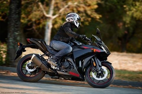 2015 Yamaha YZF-R3 in Foxboro, Massachusetts - Photo 5