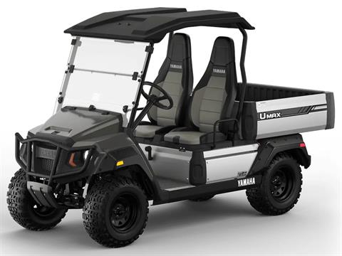 2026 Yamaha UMAX Rally EFI in Gorham, New Hampshire - Photo 4