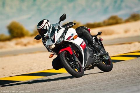 2016 Yamaha YZF-R3 in Sacramento, California - Photo 47