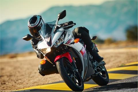 2016 Yamaha YZF-R3 in Sacramento, California - Photo 55