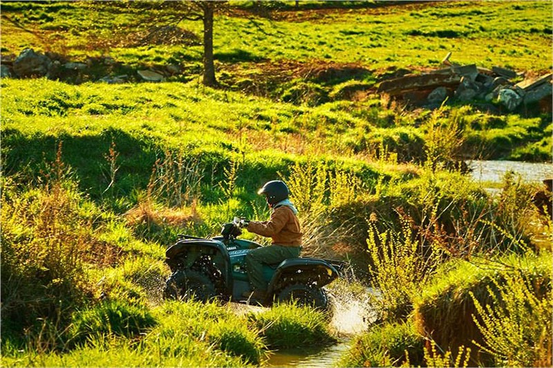 2017 Yamaha Grizzly EPS 7