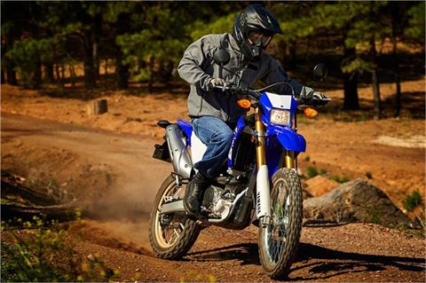 2017 Yamaha WR250R in Manchester, New Hampshire - Photo 30
